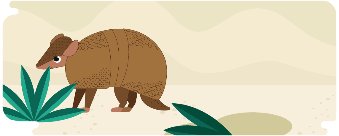 armadillo.gif