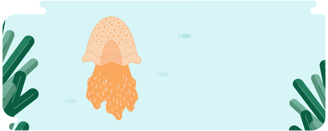 jellyfish.gif