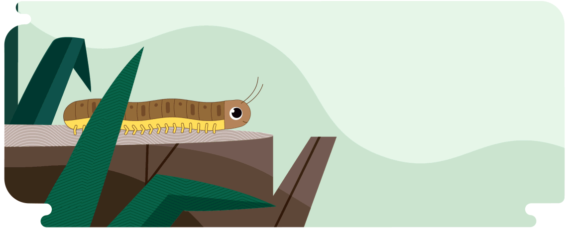 millipede.gif