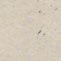 Paper