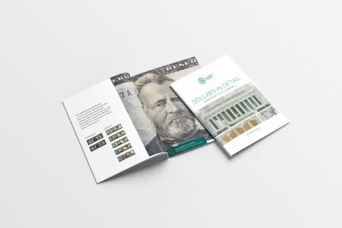 Dollars In Detail Brochure - Product Image