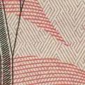 fondo color durazno en el billete de $50