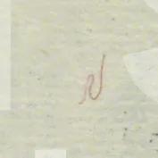 fibra roja